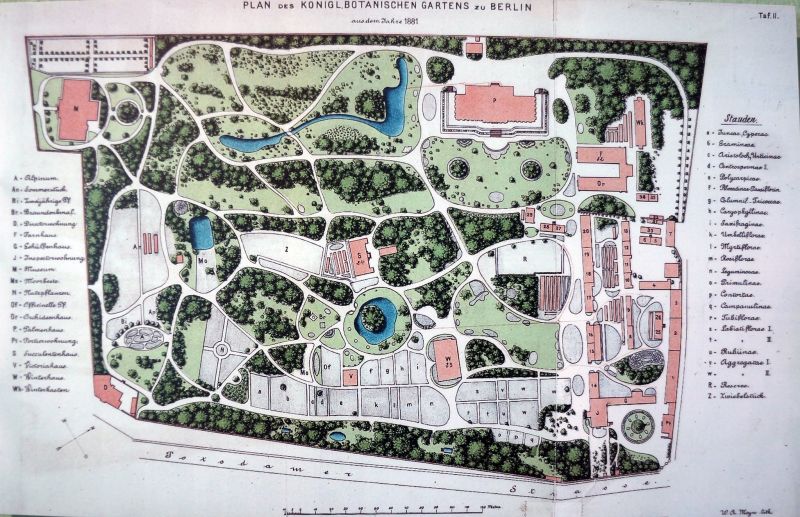 9437 xxl — © Botanischer Garten und Botanisches Museum Berlin-Dahlem, Freie Universität Berlin Seitenverantwortliche, Stand (diese Seite): 18. August 2010 https://archive.bgbm.org/bgbm/museum/expo/2000/botanik3.htm