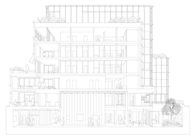 schnittperspektive 1